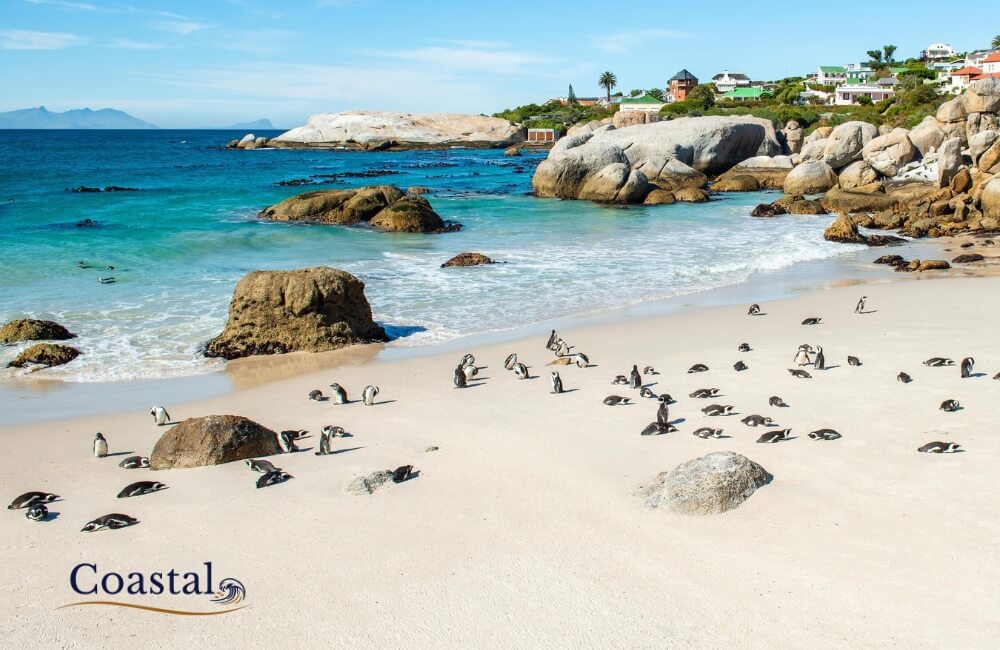 Luxury coastal accommodation overlooking the ocean in South Africa for a peaceful seaside escape.