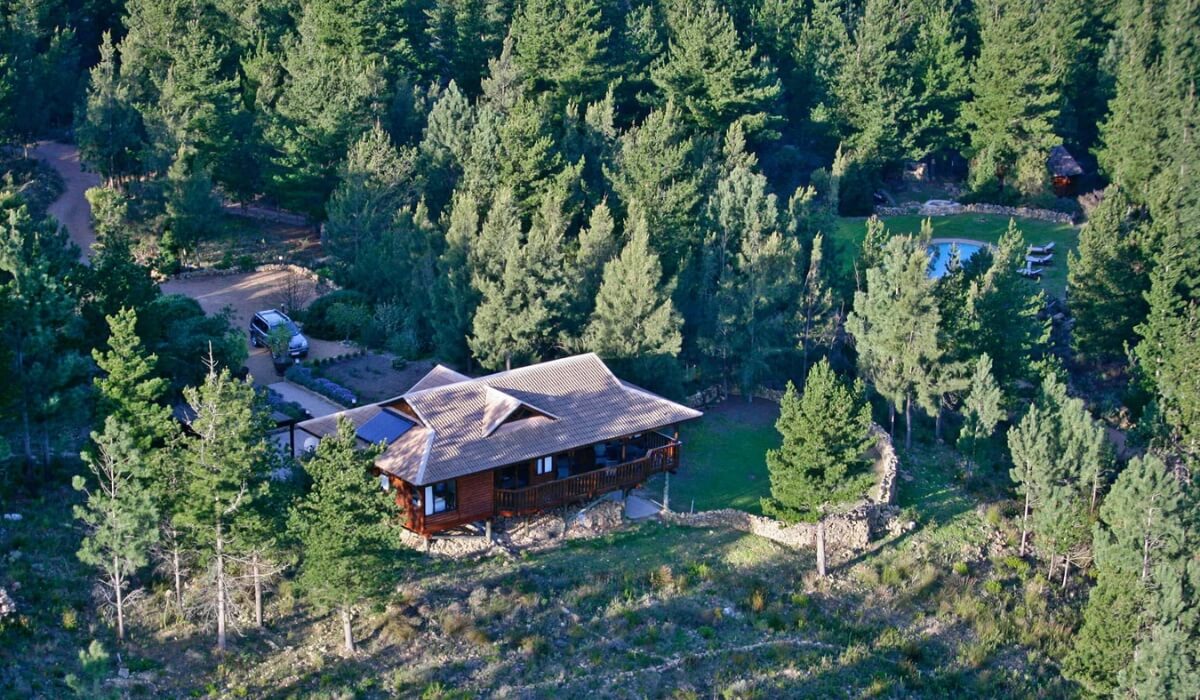 Phezulu Lodge surrounded by forest and natural scenery at Lalapanzi Lodge in South Africa.